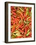 Thai Chili, Khon Kaen Market, Thailand-Gavriel Jecan-Framed Photographic Print