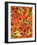 Thai Chili, Khon Kaen Market, Thailand-Gavriel Jecan-Framed Photographic Print