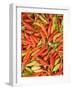 Thai Chili, Khon Kaen Market, Thailand-Gavriel Jecan-Framed Photographic Print