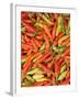 Thai Chili, Khon Kaen Market, Thailand-Gavriel Jecan-Framed Photographic Print