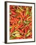 Thai Chili, Khon Kaen Market, Thailand-Gavriel Jecan-Framed Photographic Print