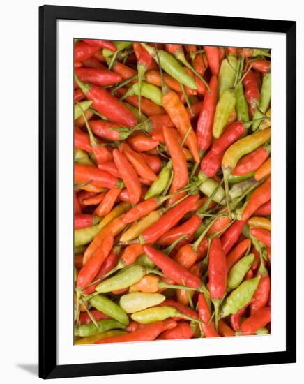 Thai Chili, Khon Kaen Market, Thailand-Gavriel Jecan-Framed Photographic Print