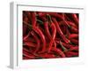 Thai Chili Peppers-null-Framed Photographic Print