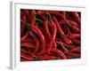 Thai Chili Peppers-null-Framed Photographic Print