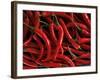 Thai Chili Peppers-null-Framed Photographic Print