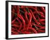 Thai Chili Peppers-null-Framed Photographic Print