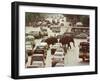 Thai Elephants Maneuver Their Way Through a Bangkok Traffic Jam in Downtown-null-Framed Premium Photographic Print