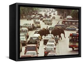 Thai Elephants Maneuver Their Way Through a Bangkok Traffic Jam in Downtown-null-Framed Stretched Canvas