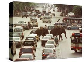 Thai Elephants Maneuver Their Way Through a Bangkok Traffic Jam in Downtown-null-Stretched Canvas