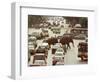 Thai Elephants Maneuver Their Way Through a Bangkok Traffic Jam in Downtown-null-Framed Photographic Print