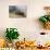 Thai Fishing Boats Beached on Phi Phi Island During a Storm-Alex Saberi-Photographic Print displayed on a wall