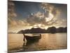 Thai Fishing Boats Off Phi Phi Island at Sunset-Alex Saberi-Mounted Photographic Print