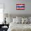 Thai Flag-daboost-Framed Stretched Canvas displayed on a wall