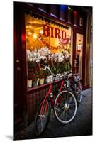 Thai in Amsterdam-Erin Berzel-Mounted Photographic Print