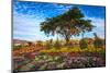 Thai Lantern on a Tree in Colorful Flower Garden-aiaikawa-Mounted Photographic Print