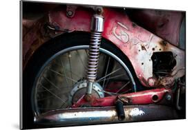 Thai Motorbike-Erin Berzel-Mounted Photographic Print