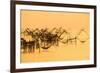 Thai Style Fishing Trap in Pak Pra Village, Net Fishing Thailand, Thailand Shrimp Fishing, Phatthal-Take Photo-Framed Photographic Print