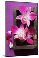 Thai Table Decoration: Orchids in Wooden Box-Foodcollection-Mounted Photographic Print