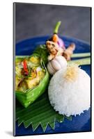 Thai Yellow Curry, Thailand, Southeast Asia, Asia-Alex Robinson-Mounted Photographic Print