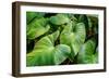 Thailand - 158-Ben Heine-Framed Photographic Print