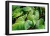 Thailand - 158-Ben Heine-Framed Photographic Print