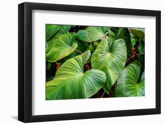 Thailand - 158-Ben Heine-Framed Photographic Print