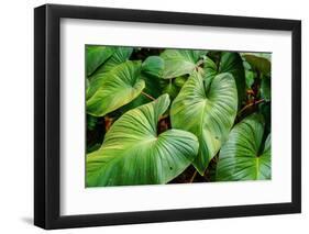 Thailand - 158-Ben Heine-Framed Photographic Print