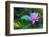 Thailand 2 - 214-Ben Heine-Framed Photographic Print