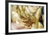 Thailand - 211-Ben Heine-Framed Photographic Print