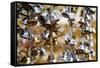 Thailand - 246-Ben Heine-Framed Stretched Canvas