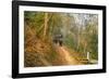 Thailand - 314-Ben Heine-Framed Photographic Print