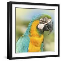 Thailand - 367-Ben Heine-Framed Photographic Print