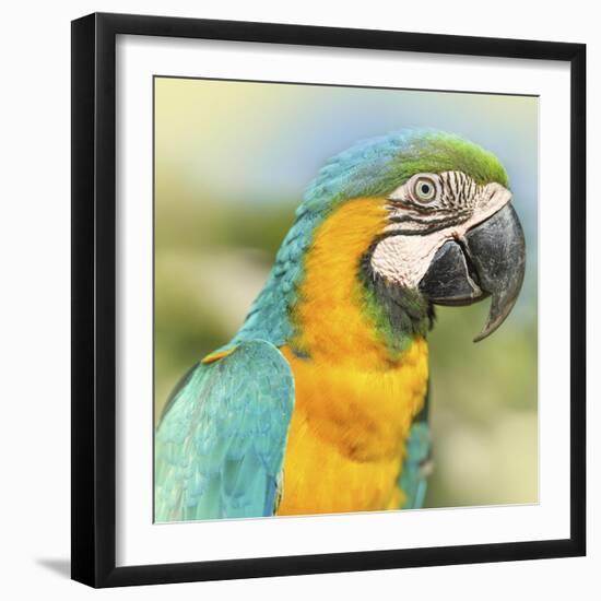 Thailand - 367-Ben Heine-Framed Photographic Print