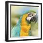 Thailand - 367-Ben Heine-Framed Photographic Print