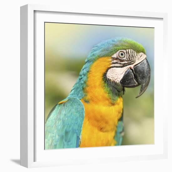 Thailand - 367-Ben Heine-Framed Photographic Print