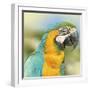 Thailand - 367-Ben Heine-Framed Photographic Print