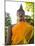 Thailand, Ayutthaya, Buddha Draped with Orange-Terry Eggers-Mounted Photographic Print