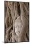 Thailand, Ayutthaya, Buddha head growing in roots of Banyan tree at Wat Mahathat.-Merrill Images-Mounted Photographic Print