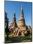 Thailand, Ayutthaya, Phra Nakhon Si Ayutthaya Old Siam Temple-Terry Eggers-Mounted Photographic Print