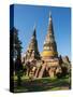 Thailand, Ayutthaya, Phra Nakhon Si Ayutthaya Old Siam Temple-Terry Eggers-Stretched Canvas