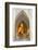 Thailand, Ayutthaya, Tambon Tha Wasukri. Buddha at Wat Na Phra Meru-Kevin Oke-Framed Photographic Print