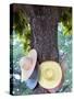 Thailand, Ayutthaya, Wat Chai Watthanaram, Hats Hanging from Tree-Shaun Egan-Stretched Canvas