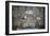 Thailand, Ayutthaya, Wat Suwan Dararam Temple, Mural Painting Showing Scenes from Life of Buddha-null-Framed Giclee Print