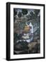 Thailand, Ayutthaya, Wat Suwan Dararam Temple, Mural Painting Showing Scenes from Life of Buddha-null-Framed Giclee Print