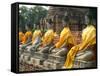 Thailand, Ayutthaya, Wat Yai Chaiyamongkhan. Row of Buddha Statues-Kevin Oke-Framed Stretched Canvas
