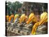 Thailand, Ayutthaya, Wat Yai Chaiyamongkhan. Row of Buddha Statues-Kevin Oke-Stretched Canvas