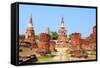 Thailand - Ayutthaya-Tupungato-Framed Stretched Canvas