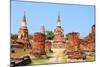 Thailand - Ayutthaya-Tupungato-Mounted Photographic Print