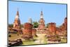 Thailand - Ayutthaya-Tupungato-Mounted Photographic Print