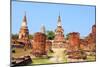 Thailand - Ayutthaya-Tupungato-Mounted Photographic Print